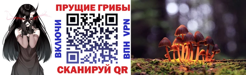 Купить закладки  Курган  Псилоцибиновые грибы мицелий 
